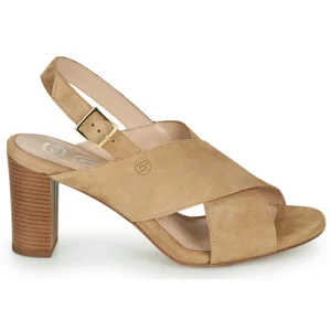 en promotion Betty London – MARIPOL Beige 10