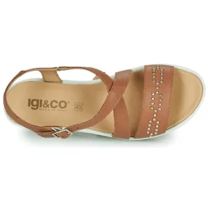 soldes IgI&CO – 1668722 Camel 18