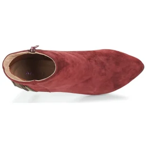 Distributeur Officiel André FICUS Couleur Bordeaux 18